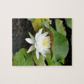Puzzle Lys blancs (Horizontal)