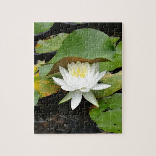 Puzzle Lys blancs (Vertical)