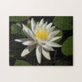 Puzzle Lys blancs (Horizontal)