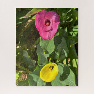 Puzzle Lys calla rose et jaune, San Mateo