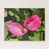 Puzzle Lys calla rose, San Mateo (Horizontal)