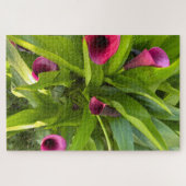 Puzzle Lys calla violet, Oakland (Horizontal)