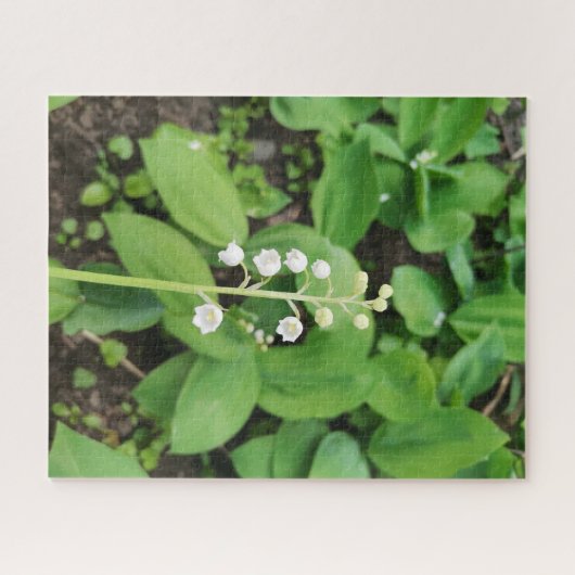 Puzzle Lys de la Vallée Fleur (Horizontal)