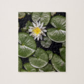 Puzzle Lys d'eau (Vertical)