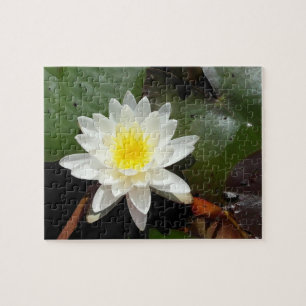 Puzzle Lys d'eau