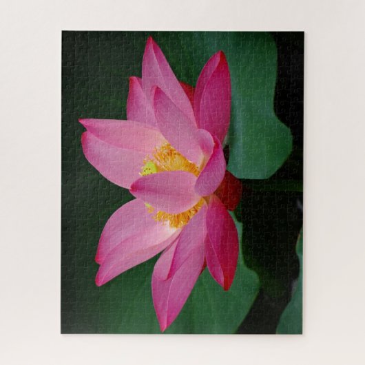 Puzzle Lys d'eau rose (Vertical)