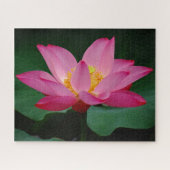 Puzzle Lys d'eau rose (Horizontal)