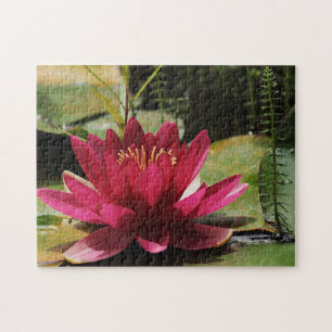 Puzzle Lys d'eau rose