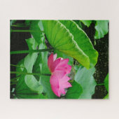 Puzzle Lys d'eau rose en floraison (Horizontal)