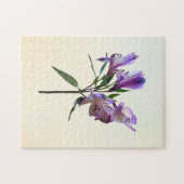 Puzzle Lys péruvien violet (Horizontal)
