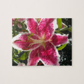 Puzzle Lys roses fleurs tropicales roses rose (Horizontal)