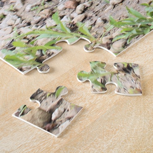Puzzle M. Duck (Côté)