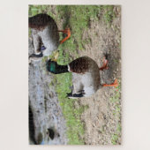 Puzzle M. Duck (Vertical)