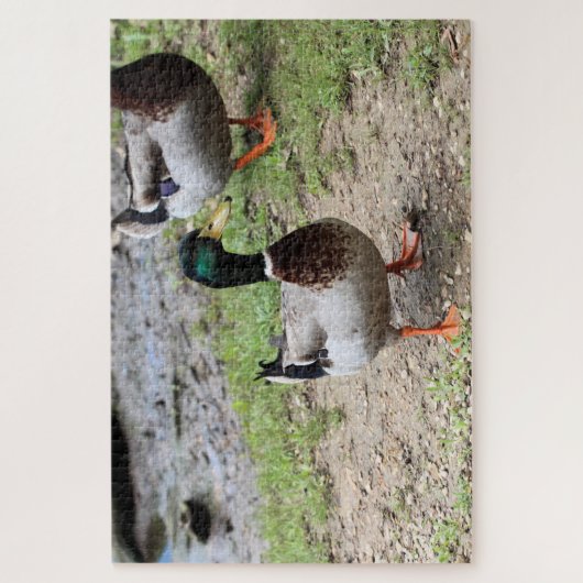 Puzzle M. Duck (Vertical)