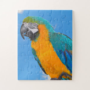 Puzzle Macao bleu et jaune