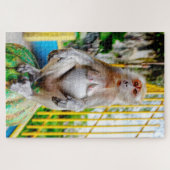 Puzzle Macaque crabier (Horizontal)