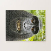 Puzzle Macaque de sourire de Celebes (Horizontal)