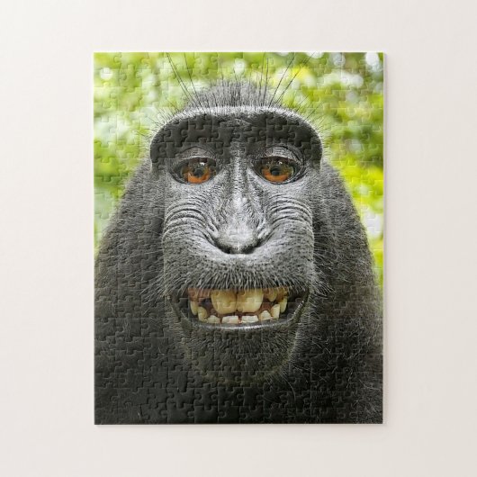 Puzzle Macaque de sourire de Celebes (Vertical)
