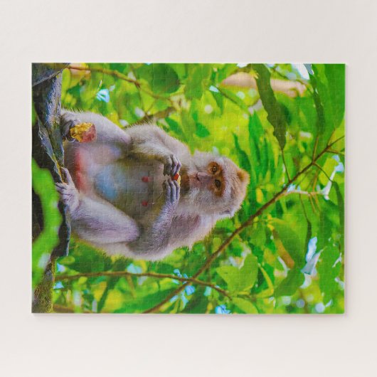 Puzzle Macaques à long queue balinaise. (Horizontal)