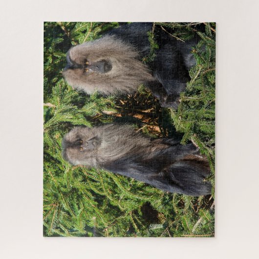 Puzzle Macaques à long queue balinaise. (Vertical)