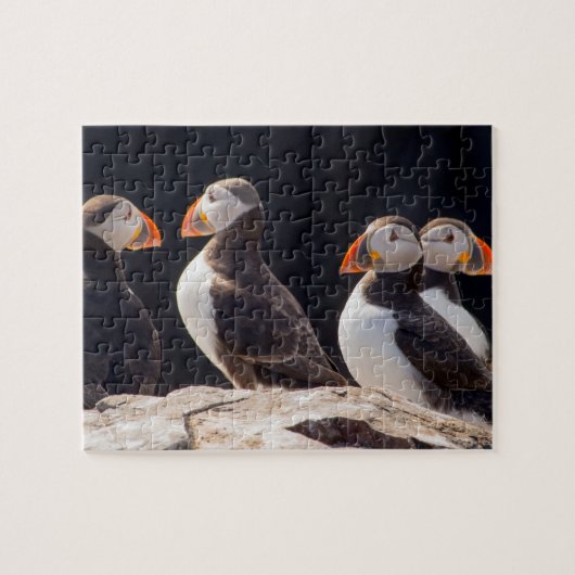 Puzzle Macareux (Horizontal)