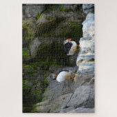 Puzzle Macareux atlantiques. (Vertical)