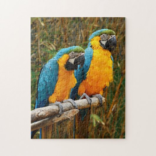 Puzzle Macaw (Vertical)