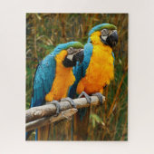 Puzzle Macaw (Vertical)
