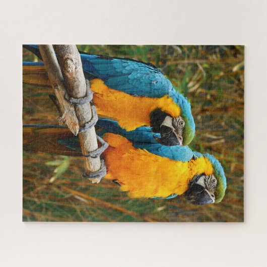 Puzzle Macaw (Horizontal)