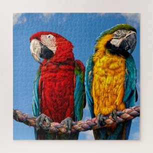 Puzzle Macaw bleu et jaune et macaw Scarlet