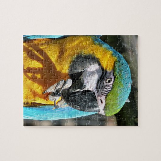 PUZZLE MACAWS (Horizontal)