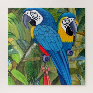 Puzzle Macaws bleus