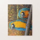 Puzzle macaws gais - perroquet mignon (Vertical)