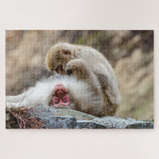 Puzzle Macque Monkey, photo japonaise de singe (Horizontal)