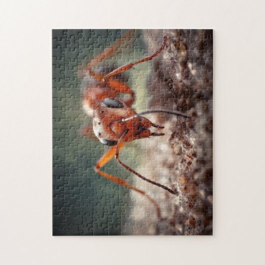 Puzzle Macro Ant se demande (Vertical)