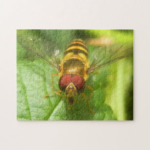 Puzzle Macro Bee Insect Nature