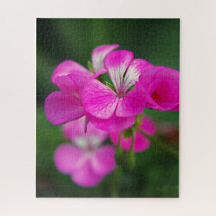 Puzzle macro de fleur rose