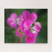 Puzzle macro de fleur rose (Horizontal)