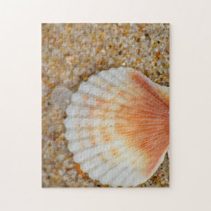 Puzzle Macro of Scallop Sea Shell in the Sand on Beach