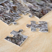 Puzzle Madagascar, réserve d'Ankarafantsika ; Ampijoroa ; (Côté)