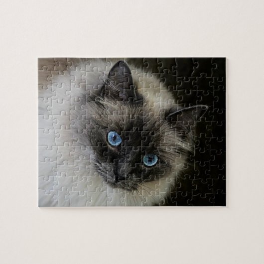 Puzzle Madame de ` de M (Horizontal)