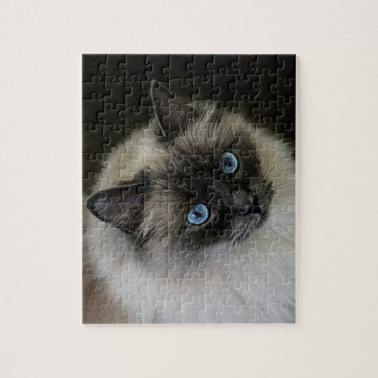 Puzzle Madame de ` de M (Vertical)