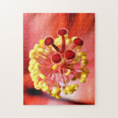 Puzzle Magma Hibiscus Stigmate (Vertical)
