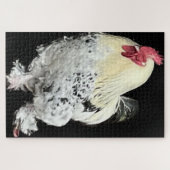Puzzle Magnifique Cockerel No 2 (Horizontal)