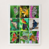 Puzzle Magnifique Collage de papillons, 9 photos, 10 ans (Vertical)