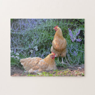 Puzzle magnifique de poulet