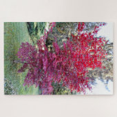 Puzzle Magnifique érable rouge (Horizontal)