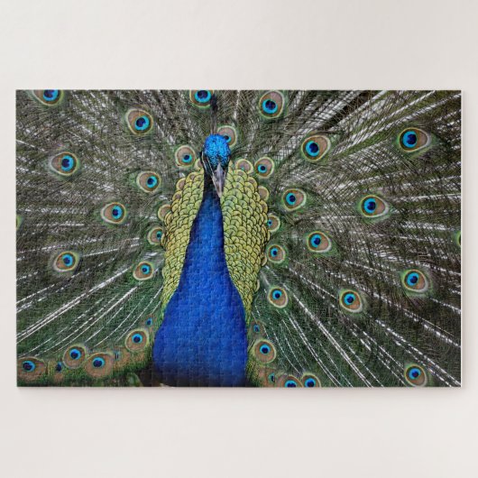 Puzzle Magnifique Paon Magnet (Horizontal)
