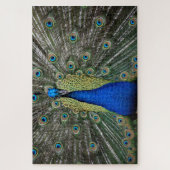 Puzzle Magnifique Paon Magnet (Vertical)