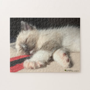 Puzzle Magnifique photo de chaton dormant